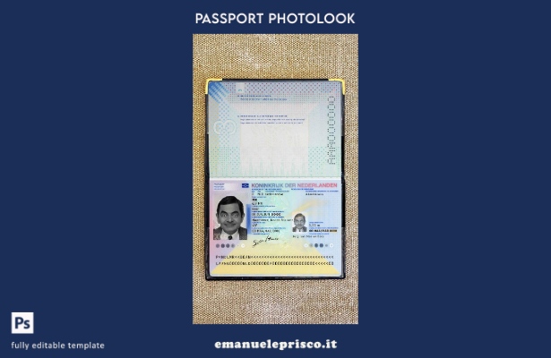 modello di aspetto fotografico del passaporto olandese (presente) in stile verif
